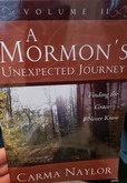 A Mormon's Unexpected Journey: Finding the Grace I Never Knew Vol. II